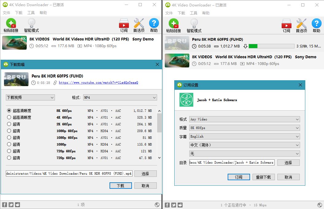 油管高清视频下载利器4K Video Downloader v4.20.4-凡客源码